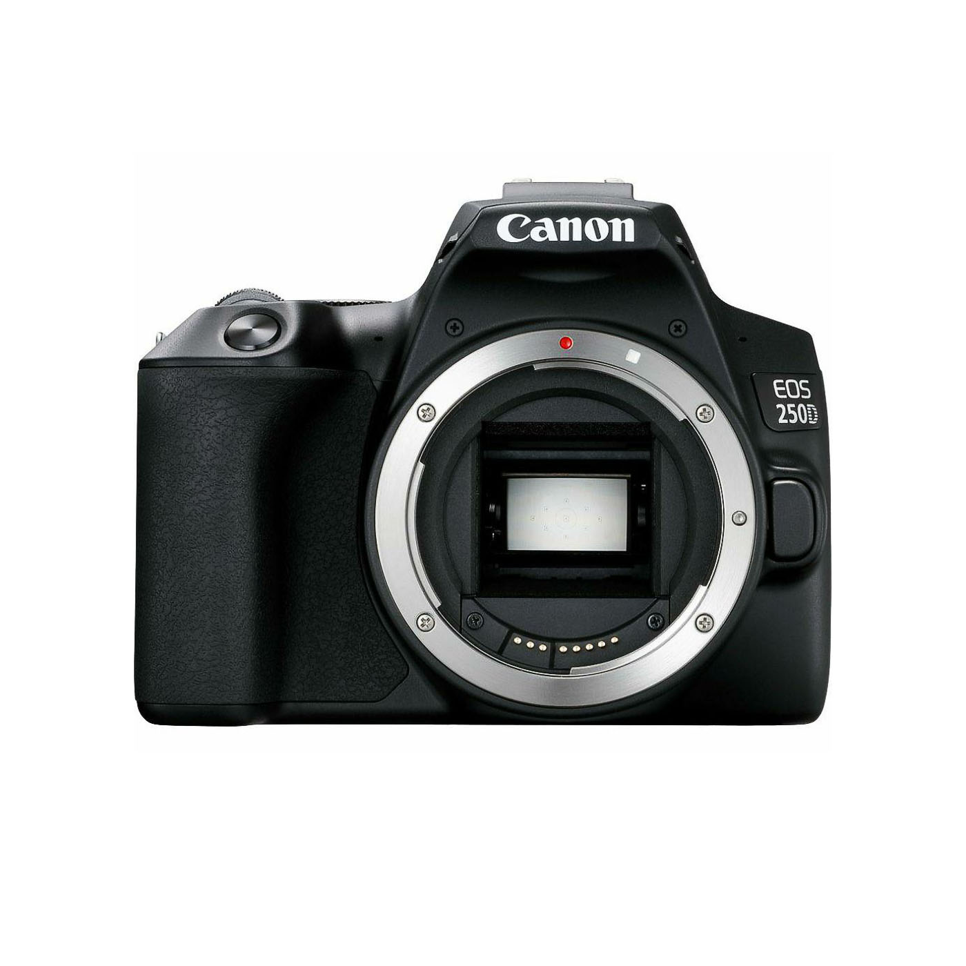 Canon EOS 250D Body