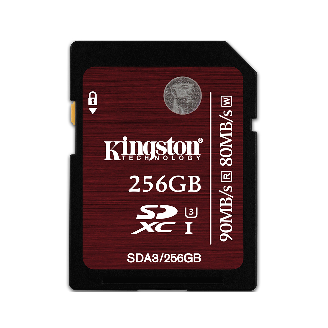 Kingston-SDA3-256GB-01.jpg